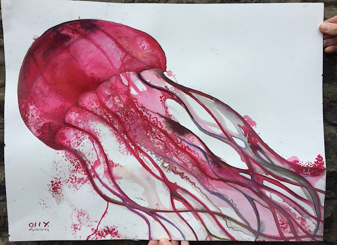 Red Jelly