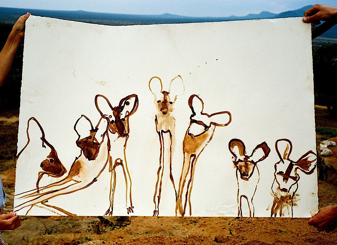 Seven Mkomazi Wild dogs