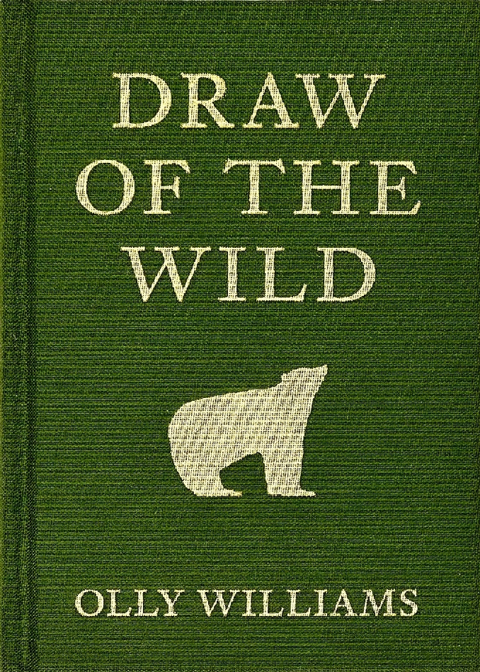 Draw of the Wild