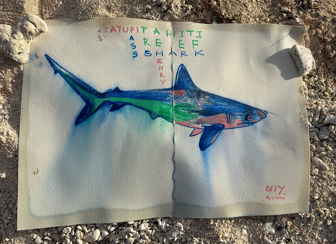 Tahiti Reef Shark